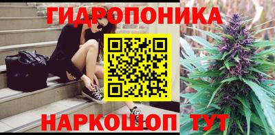 дурь Берёзовский
