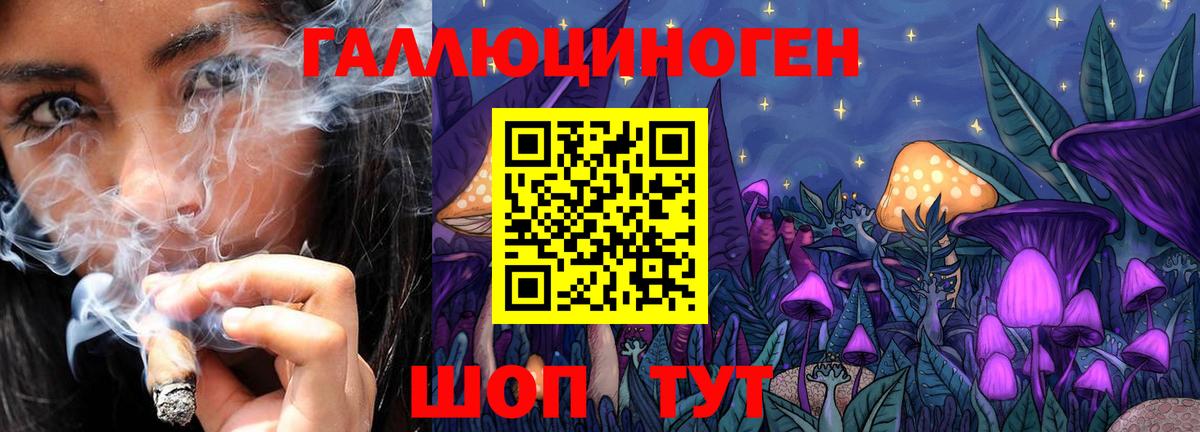 Казань  Галлюциногенные грибы Psilocybe  Вход с VPN 