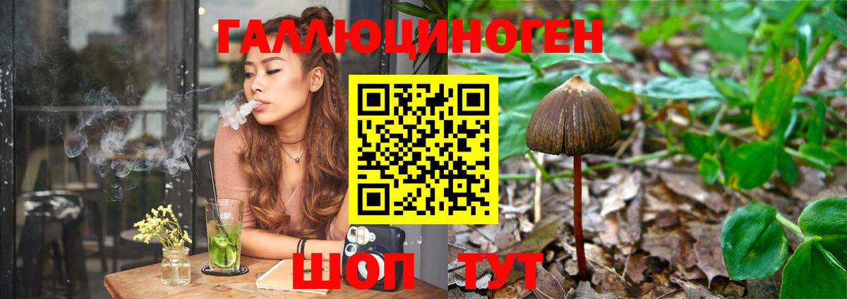 Галлюциногенные грибы Magic Shrooms Казань